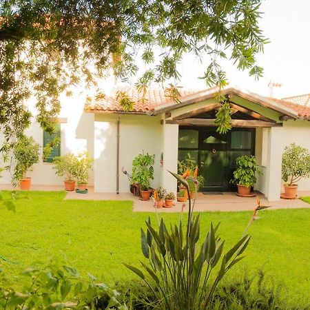 Villa Aurora Olbia Exteriör bild